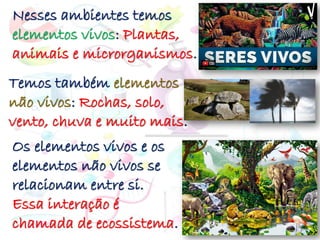 Nesses ambientes temos
elementos vivos: Plantas,
animais e microrganismos.
Temos também elementos
não vivos: Rochas, solo,
vento, chuva e muito mais.
Os elementos vivos e os
elementos não vivos se
relacionam entre si.
Essa interação é
chamada de ecossistema.
 
