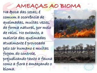 AMEAÇAS AO BIOMA
Na época das secas, é
comum a ocorrência de
queimadas, muitas vezes,
de forma natural, por meio
de raios. No entanto, a
maioria das queimadas
atualmente é provocada
pelo ser humano e muitas
fogem do controle,
prejudicando tanto a fauna
como a flora e ameaçando o
bioma.
 
