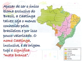 Apesar de ser o único
bioma exclusivo do
Brasil, a Caatinga
talvez seja o menos
conhecido pelos
brasileiros e por isso
pouco valorizado. O
nome Caatinga,
inclusive, é de origem
tupi e significa
“mata branca”.
 