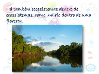 Há também ecossistemas dentro de
ecossistemas, como um rio dentro de uma
floresta.
 