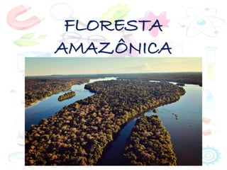 FLORESTA
AMAZÔNICA
 