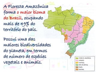A Floresta Amazônica
forma o maior bioma
do Brasil, ocupando
mais de 49% do
território do país.
Possui uma das
maiores biodiversidades
do planeta, em termos
de número de espécies
vegetais e animais.
 