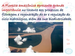 A Floresta amazônica apresenta grande
importância no tocante aos processos de
filtragem e regeneração do ar e regulação do
ciclo hidrológico, além da sua biodiversidade.
 