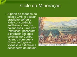 Ciclo da Mineração
 A partir de meados do
século XVII, o açúcar
brasileiro sofreu a
forte concorrência
antilhana, claro, os
holandeses, uma vez
"expulsos" passaram
a produzir em suas
colônias no Caribe,
fazendo com que a
Coroa portuguesa
voltasse a estimular a
descoberta de metais.
 