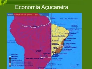 Economia Açucareira
 