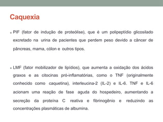 Caquexia
• PIF (fator de indução de proteólise), que é um polipeptídio glicosilado
excretado na urina de pacientes que perdem peso devido a câncer de
pâncreas, mama, cólon e outros tipos.
• LMF (fator mobilizador de lipídios), que aumenta a oxidação dos ácidos
graxos e as citocinas pró-inflamatórias, como o TNF (originalmente
conhecido como caquetina), interleucina-2 (IL-2) e IL-6. TNF e IL-6
acionam uma reação de fase aguda do hospedeiro, aumentando a
secreção da proteína C reativa e fibrinogênio e reduzindo as
concentrações plasmáticas de albumina.
 