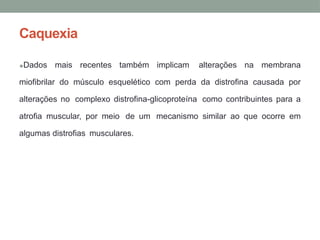 Caquexia
•Dados mais recentes também implicam alterações na membrana
miofibrilar do músculo esquelético com perda da distrofina causada por
alterações no complexo distrofina-glicoproteína como contribuintes para a
atrofia muscular, por meio de um mecanismo similar ao que ocorre em
algumas distrofias musculares.
 