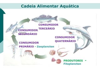 PRODUTORES -
Fitoplancton
CONSUMIDOR
PRIMÁRIO - Zooplancton
CONSUMIDOR
SECUNDÁRIO
CONSUMIDOR
TERCEÁRIO
CONSUMIDOR
QUATERNÁRIO
Cadeia Alimentar Aquática
 