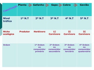 Planta Gafanho Sapo Cobra Gavião
Nível
trófico
1º N.T 2º N.T 3º N.T 4º N.T 5º N.T
Nicho
ecológico
Produtor Herbívoro 1º
Carnívoro
2º
Carnívoro
3º
Carnívoro
Ordem 1ª Ordem
ou
consumidor
primário
2ª Ordem
ou
consumidor
secundário
3ª Ordem
ou
consumidor
terciário
4ª Ordem
ou
consumidor
quaternário
 