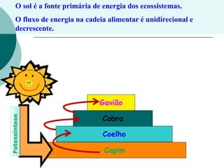 O sol é a fonte primária de energia dos ecossistemas.
O fluxo de energia na cadeia alimentar é unidirecional e
decrescente.
Capim
Coelho
Cobra
Gavião
Fotossíntese
 