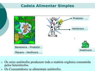 Bananeira - Produtor
Macaco - Herbívoro
Produtor
Herbívoro
Insetívoro
 Os seres autótrofos produzem toda a matéria orgânica consumida
pelos heterótrofos.
 Os Consumidores se alimentam autótrofos.
Cadeia Alimentar Simples
 