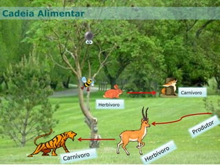 Herbívoro
Carnívoro
Cadeia Alimentar
 