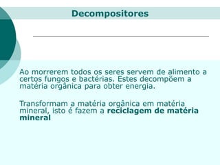Ao morrerem todos os seres servem de alimento a
certos fungos e bactérias. Estes decompõem a
matéria orgânica para obter energia.
Transformam a matéria orgânica em matéria
mineral, isto é fazem a reciclagem de matéria
mineral
Decompositores
 