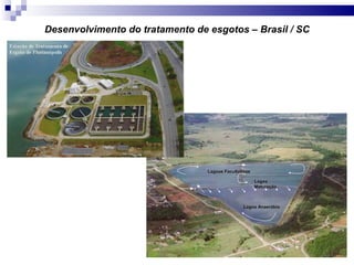 Desenvolvimento do tratamento de esgotos – Brasil / SC Lagoa Anaeróbia Lagoas Facultativas Lagoa Maturação 