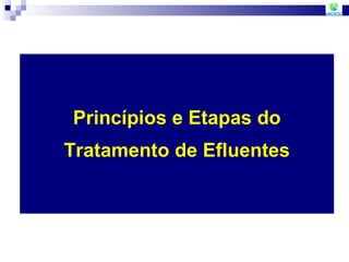 Princípios e Etapas do Tratamento de Efluentes 