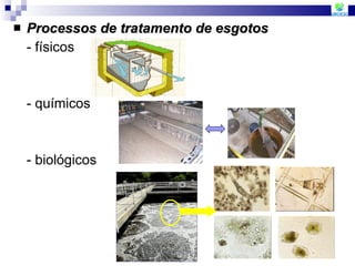 Processos de tratamento de esgotos  - físicos - químicos - biológicos 