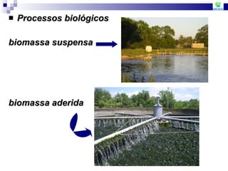 Processos biológicos biomassa suspensa biomassa aderida  