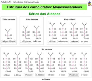 Estrutura dos carboidratos: Monossacarídeos
Séries das Aldoses
Aula REUNI : Carboidratos - Estrutura e Função
 
