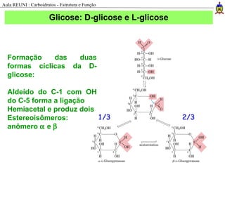2/31/3
Formação das duas
formas cíclicas da D-
glicose:
Aldeído do C-1 com OH
do C-5 forma a ligação
Hemiacetal e produz dois
Estereoisômeros:
anômero α e β
Glicose: D-glicose e L-glicose
Aula REUNI : Carboidratos - Estrutura e Função
 