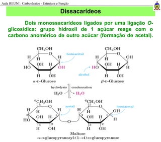 Dois monossacarídeos ligados por uma ligação O-
glicosídica: grupo hidroxil de 1 açúcar reage com o
carbono anomérico de outro acúcar (formação de acetal).
Dissacarídeos
Aula REUNI : Carboidratos - Estrutura e Função
 