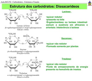 Lactose:
•açúcar redutor
•presente no leite
•D-galactosidase ou lactase intestinal:
comum a ausência em africanos e
orientais: Intolerância à lactose
Sacarose:
•açúcar não redutor
•Formado somente por plantas
Trealose:
•açúcar não redutor
•Fonte de armazenamento de energia
presente na hemolinfa de insetos
Estrutura dos carboidratos: Dissacarídeos
Aula REUNI : Carboidratos - Estrutura e Função
 