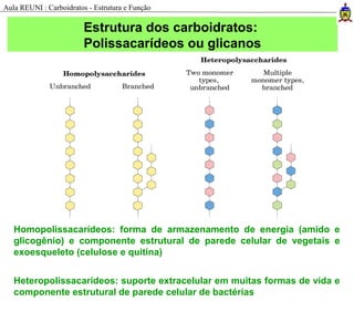 Homopolissacarídeos: forma de armazenamento de energia (amido e
glicogênio) e componente estrutural de parede celular de vegetais e
exoesqueleto (celulose e quitina)
Heteropolissacarídeos: suporte extracelular em muitas formas de vida e
componente estrutural de parede celular de bactérias
Estrutura dos carboidratos:
Polissacarídeos ou glicanos
Aula REUNI : Carboidratos - Estrutura e Função
 