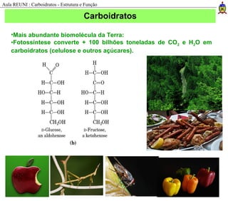 •Mais abundante biomolécula da Terra:
•Fotossíntese converte + 100 bilhões toneladas de CO2 e H2O em
carboidratos (celulose e outros açúcares).
Carboidratos
Aula REUNI : Carboidratos - Estrutura e Função
 