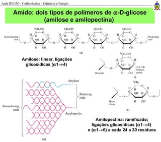 Amilose: linear, ligações
glicosídicas (α1→4)
Amilopectina: ramificado;
ligações glicosídicas (α1→4)
e (α1→6) a cada 24 a 30 resíduos
Amido: dois tipos de polímeros de α-D-glicose
(amilose e amilopectina)
Aula REUNI : Carboidratos - Estrutura e Função
 