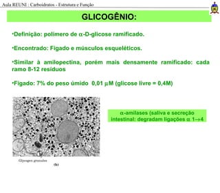 GLICOGÊNIO:
•Definição: polímero de α-D-glicose ramificado.
•Encontrado: Fígado e músculos esqueléticos.
•Similar à amilopectina, porém mais densamente ramificado: cada
ramo 8-12 resíduos
•Fígado: 7% do peso úmido 0,01 µM (glicose livre = 0,4M)
α-amilases (saliva e secreção
intestinal: degradam ligações α 1→4
Aula REUNI : Carboidratos - Estrutura e Função
 