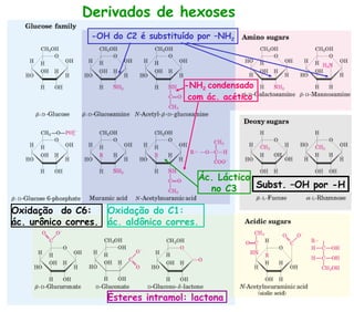 Derivados de hexoses
-OH do C2 é substituído por –NH2
-NH2 condensado
com ác. acético
Ác. Láctico
no C3 Subst. –OH por -H
Oxidação do C6:
ác. urônico corres.
Oxidação do C1:
ác. aldônico corres.
Ésteres intramol: lactona
 