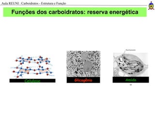 AmidoGlicogênioCelulose
Funções dos carboidratos: reserva energética
Aula REUNI : Carboidratos - Estrutura e Função
 