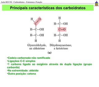 Principais características dos carboidratos
•Cadeia carbonada não ramificada
•Ligações C-C simples
•1 carbono ligado ao oxigênio através de dupla ligação (grupo
carbonila)
•Na extremidade: aldeído
•Outra posição: cetona
Aula REUNI : Carboidratos - Estrutura e Função
 