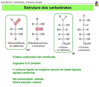 Estrutura dos carboidratos
•Cadeia carbonada não ramificada
•Ligações C-C simples
•1 carbono ligado ao oxigênio através de dupla ligação
•(grupo carbonila)
•Na extremidade: aldeído
•Outra posição: cetona
Aula REUNI : Carboidratos - Estrutura e Função
 