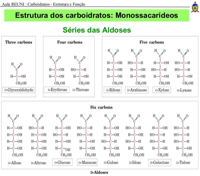 Aula carboidratos
