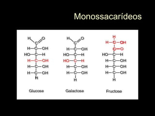 Monossacarídeos
 