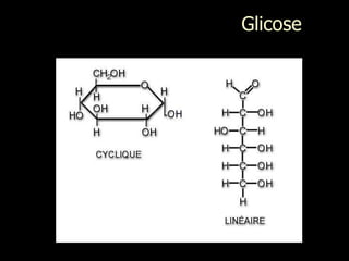 Glicose
 