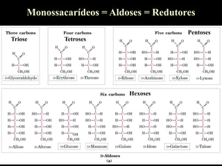 Monossacarídeos = Aldoses = Redutores
Triose Tetroses
Pentoses
Hexoses
 