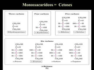 Monossacarídeos = Cetoses
 