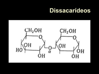 Dissacarídeos
 