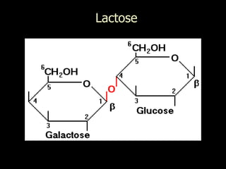 Lactose
 