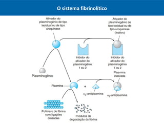 O sistema fibrinolítico
 