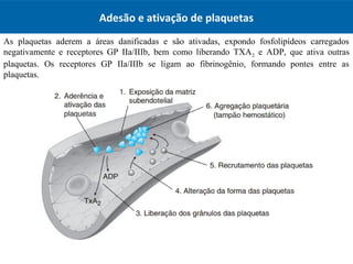 Adesão e ativação de plaquetas
As plaquetas aderem a áreas danificadas e são ativadas, expondo fosfolipídeos carregados
negativamente e receptores GP IIa/IIIb, bem como liberando TXA2 e ADP, que ativa outras
plaquetas. Os receptores GP IIa/IIIb se ligam ao fibrinogênio, formando pontes entre as
plaquetas.
 