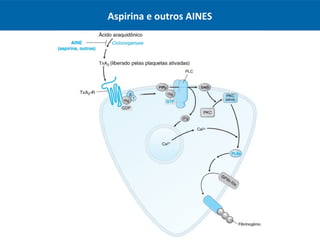 Aspirina e outros AINES
 