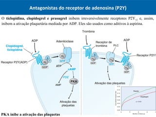 O ticlopidina, clopidogrel e prasugrel inibem irreversivelmente receptores P2Y12 e, assim,
inibem a ativação plaquetária mediada por ADP. Eles são usados como aditivos à aspirina.
Antagonistas do receptor de adenosina (P2Y)
PKA inibe a ativação das plaquetas
 