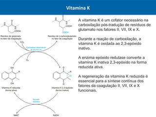 A vitamina K é um cofator necessário na
carboxilação pós-tradução de resíduos de
glutamato nos fatores II, VII, IX e X.
Durante a reação de carboxilação, a
vitamina K é oxidada ao 2,3-epóxido
inativo.
A enzima epóxido redutase converte a
vitamina K inativa 2,3-epóxido na forma
reduzida ativa.
A regeneração da vitamina K reduzida é
essencial para a síntese contínua dos
fatores da coagulação II, VII, IX e X
funcionais.
Vitamina K
 