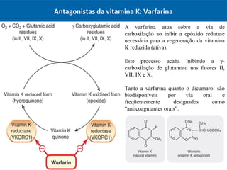 Antagonistas da vitamina K: Varfarina
A varfarina atua sobre a via de
carboxilação ao inibir a epóxido redutase
necessária para a regeneração da vitamina
K reduzida (ativa).
Este processo acaba inibindo a γ-
carboxilação de glutamato nos fatores II,
VII, IX e X.
Tanto a varfarina quanto o dicumarol são
biodisponíveis por via oral e
freqüentemente designados como
“anticoagulantes orais”.
 