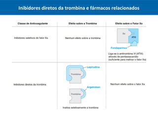 Inibidores diretos da trombina e fármacos relacionados
 