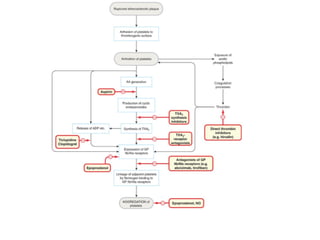 Aula - Cardiovascular  - Anticoagulantes