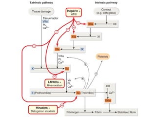 Aula - Cardiovascular  - Anticoagulantes