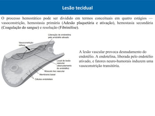 Lesão tecidual
O processo hemostático pode ser dividido em termos conceituais em quatro estágios —
vasoconstrição, hemostasia primária (Adesão plaquetária e ativação), hemostasia secundária
(Coagulação do sangue) e resolução (Fibrinólise).
A lesão vascular provoca desnudamento do
endotélio. A endotelina, liberada pelo endotélio
ativado, e fatores neuro-humorais induzem uma
vasoconstrição transitória.
 